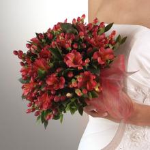 Alstroemeria & Hypericum Bouquet